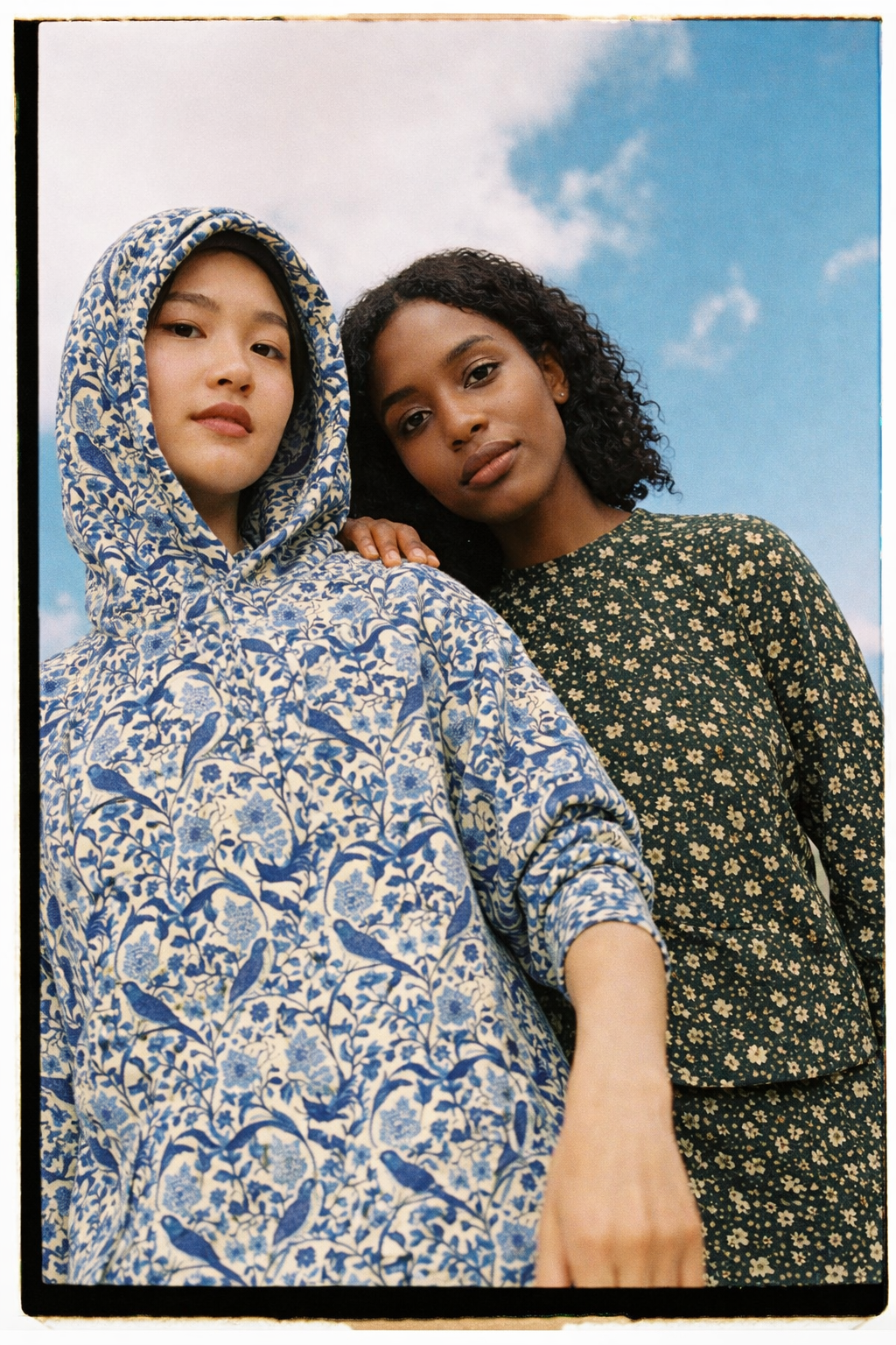 Blue Birds Hoodie