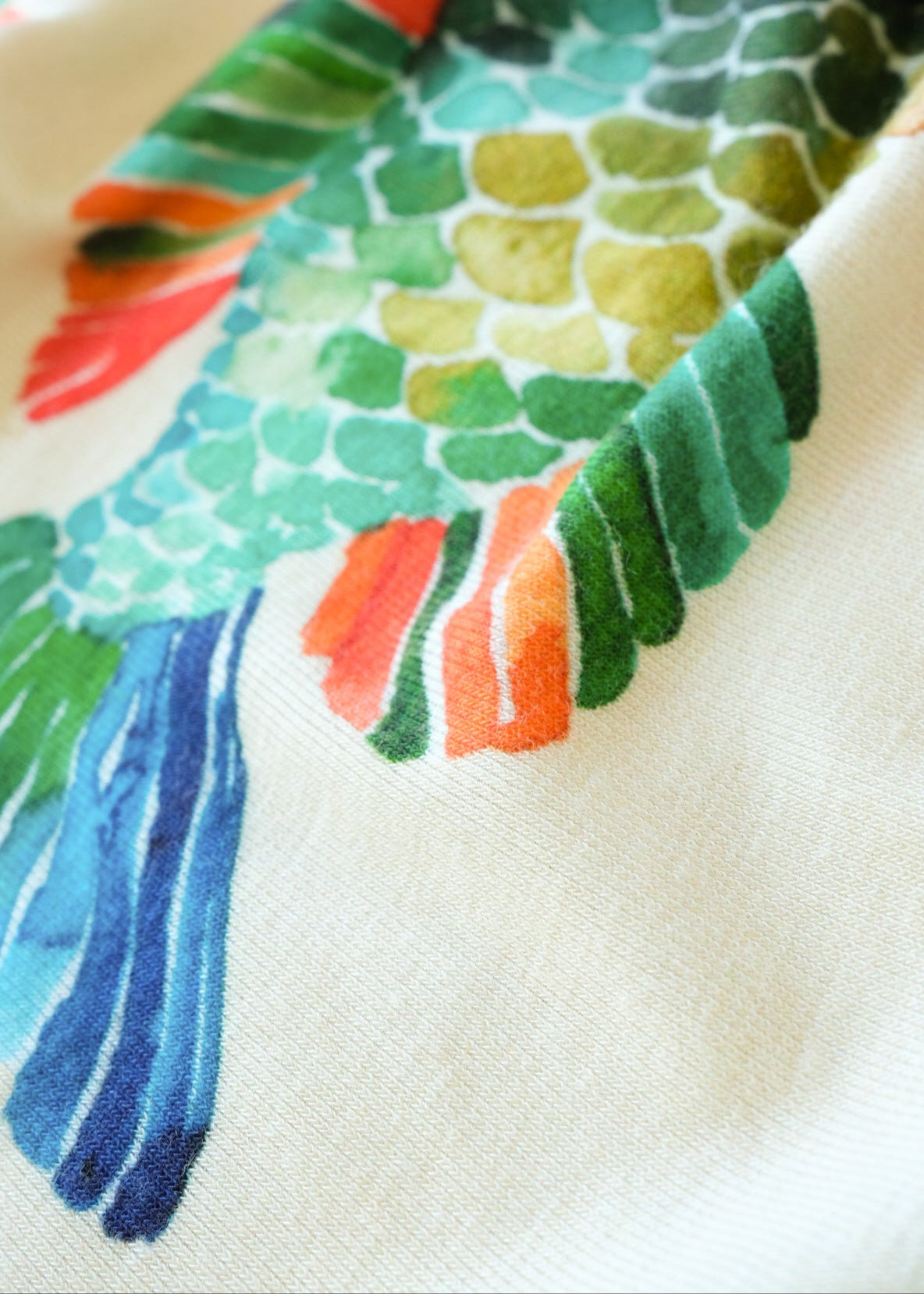 Fishy White Long Sleeve